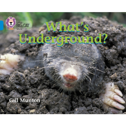 HarperCollins Publishers What’s Underground (häftad, eng)