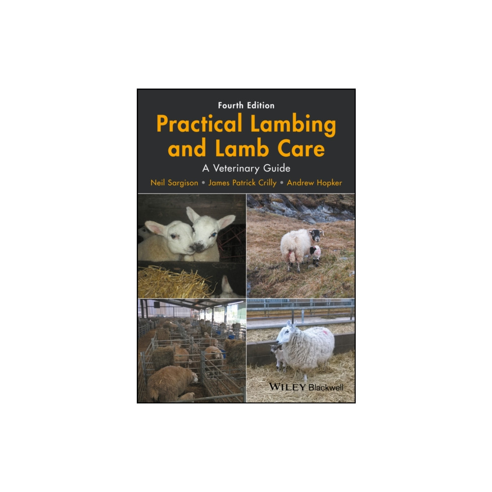 Produktbild för Practical Lambing and Lamb Care (häftad, eng)