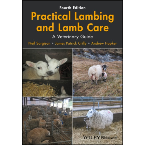 John Wiley And Sons Ltd Practical Lambing and Lamb Care (häftad, eng)