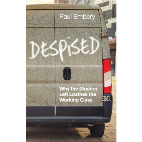 John Wiley And Sons Ltd Despised (häftad, eng)