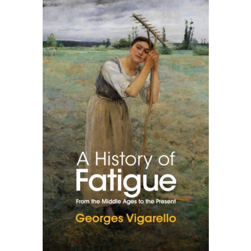 John Wiley And Sons Ltd A History of Fatigue (inbunden, eng)