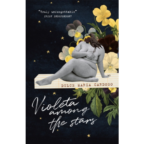 Quercus Publishing Violeta among the Stars (häftad, eng)