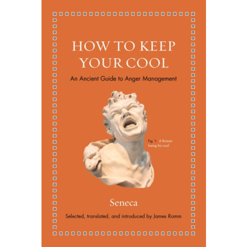 Princeton University Press How to Keep Your Cool (inbunden, eng)