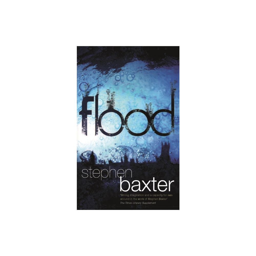 Produktbild för Flood (häftad, eng)