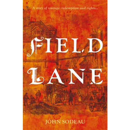 Troubador Publishing Field Lane (häftad, eng)