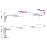 Produktbild för Vägghyllor 2 st 100x23,5 cm silver rostfritt stål