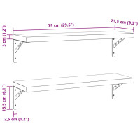 Produktbild för Vägghyllor 2 st 75x23,5 cm silver rostfritt stål