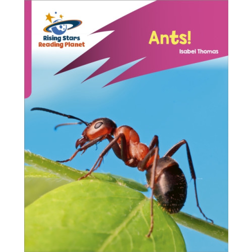Hachette Learning Reading Planet: Rocket Phonics – Target Practice – Ants! – Pink A (häftad, eng)