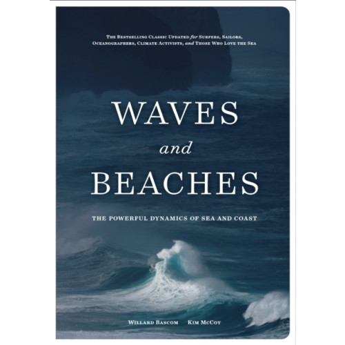 Patagonia Books Waves and Beaches (inbunden, eng)