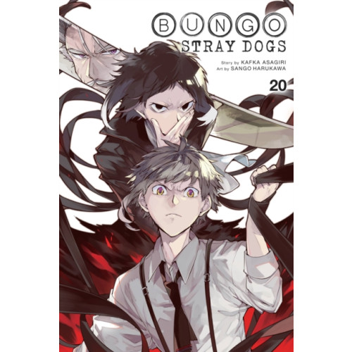 Little, Brown & Company Bungo Stray Dogs, Vol. 20 (häftad, eng)