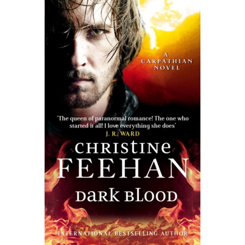 Little, Brown Book Group Dark Blood (häftad, eng)