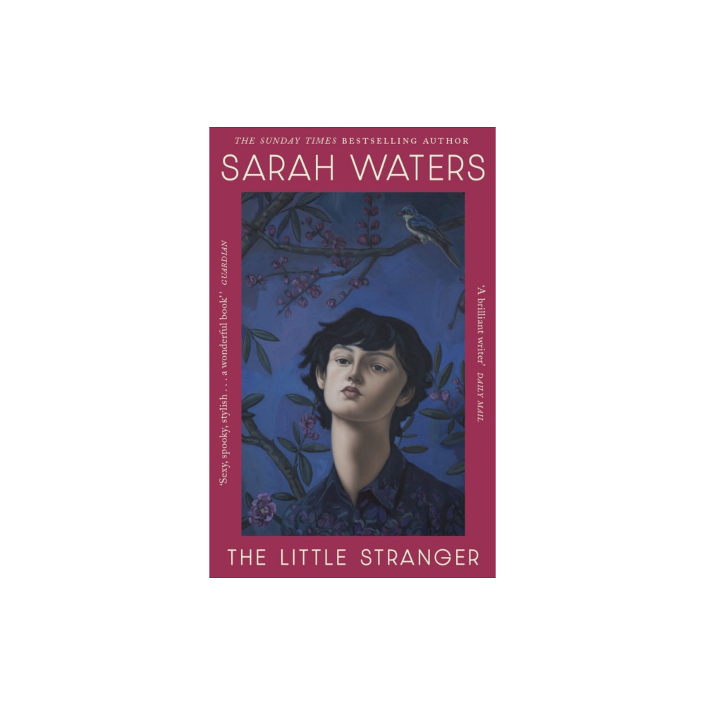 Produktbild för The Little Stranger (häftad, eng)
