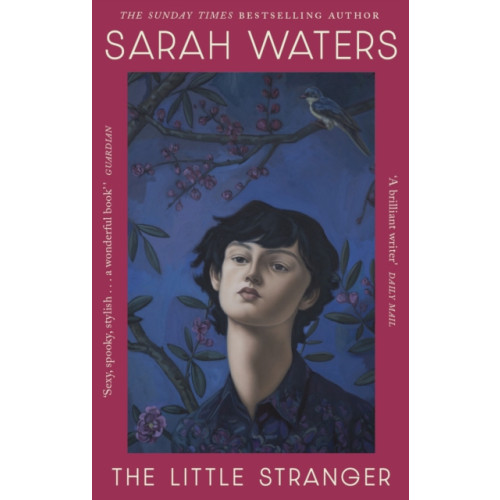 Little, Brown Book Group The Little Stranger (häftad, eng)