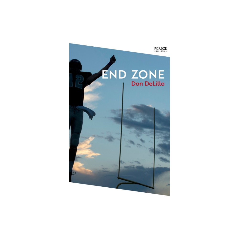 Produktbild för End Zone (häftad, eng)