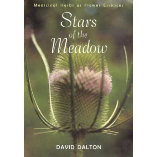 SteinerBooks, Inc Stars of the Meadow (häftad, eng)