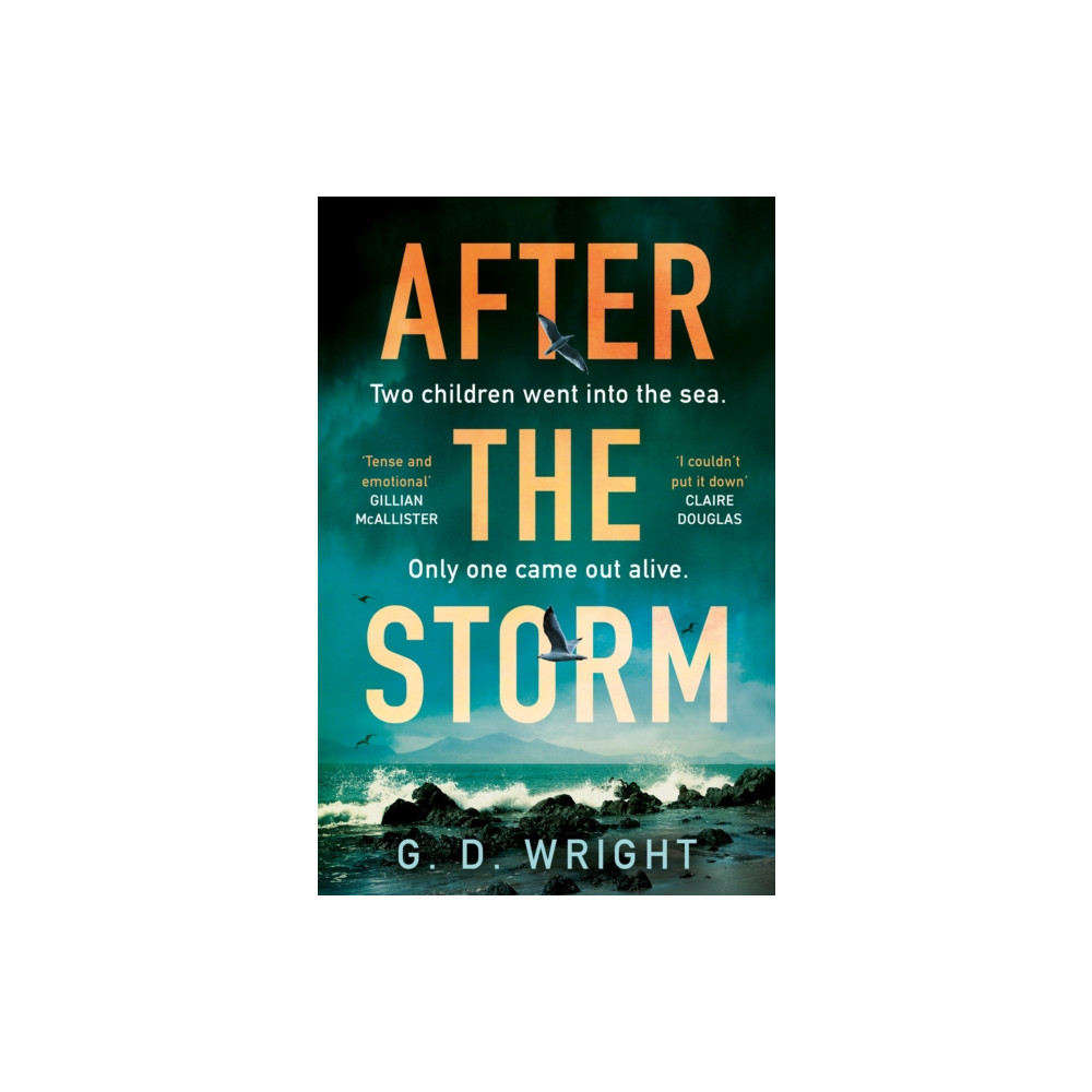 Produktbild för After the Storm (häftad, eng)