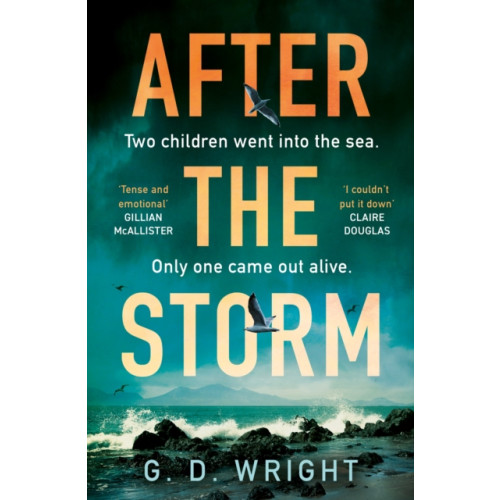 HarperCollins Publishers After the Storm (häftad, eng)