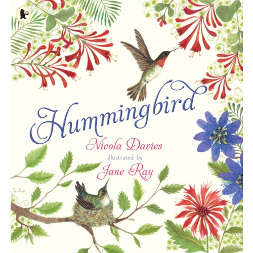 Walker Books Ltd Hummingbird (häftad, eng)