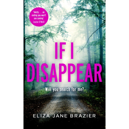 Little, Brown Book Group If I Disappear (häftad, eng)