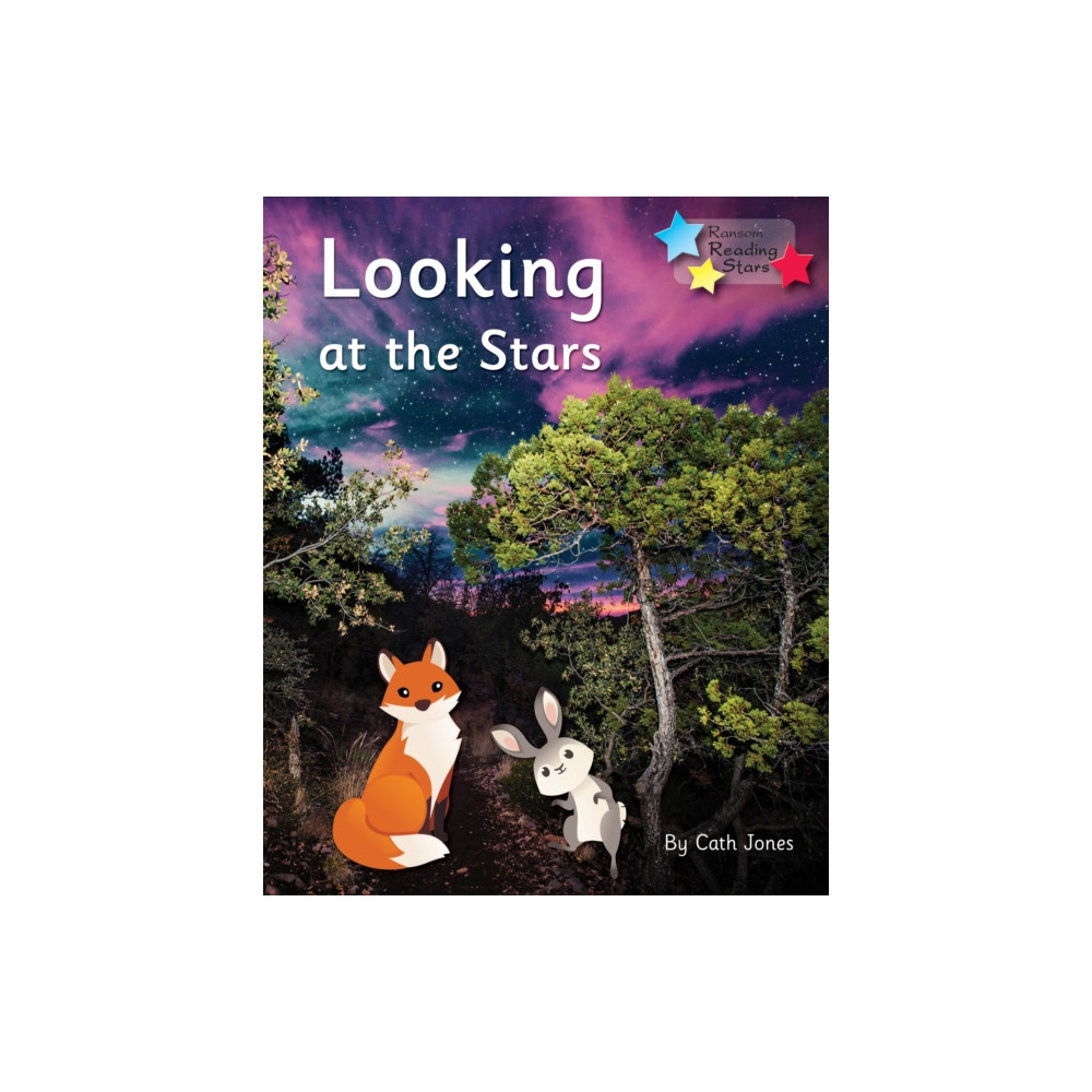 Produktbild för Looking at the Stars (häftad, eng)