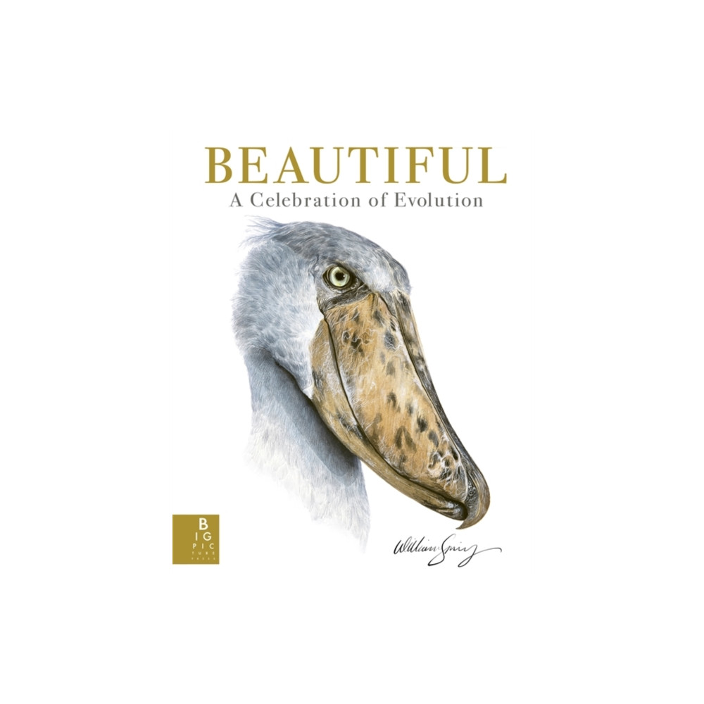Produktbild för Beautiful (inbunden, eng)