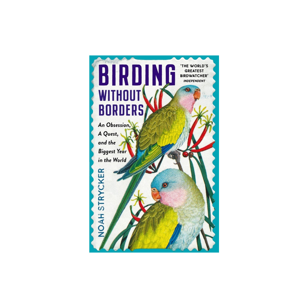 Produktbild för Birding Without Borders (häftad, eng)