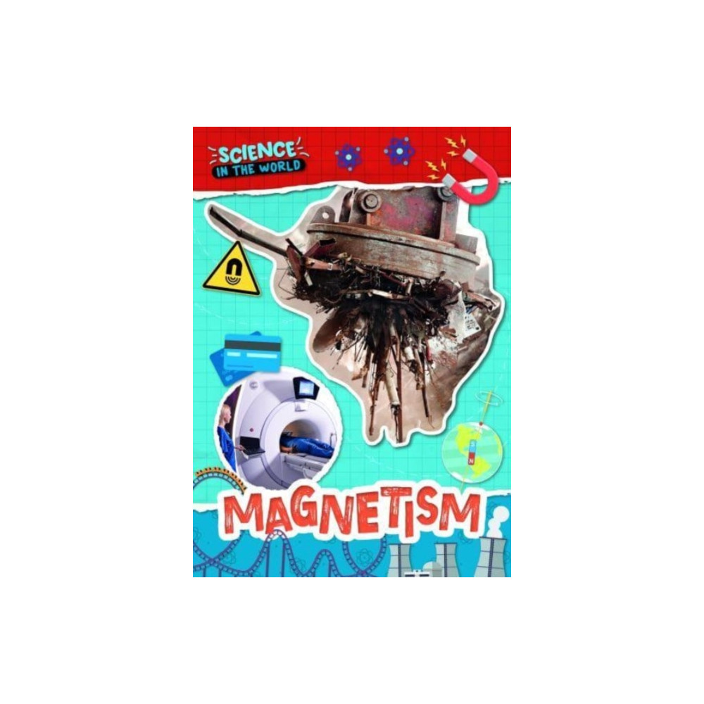 Produktbild för Magnetism (häftad, eng)