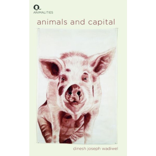 Edinburgh university press Animals and Capital (inbunden, eng)