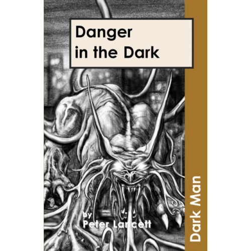 Ransom Publishing Danger in the Dark (häftad, eng)