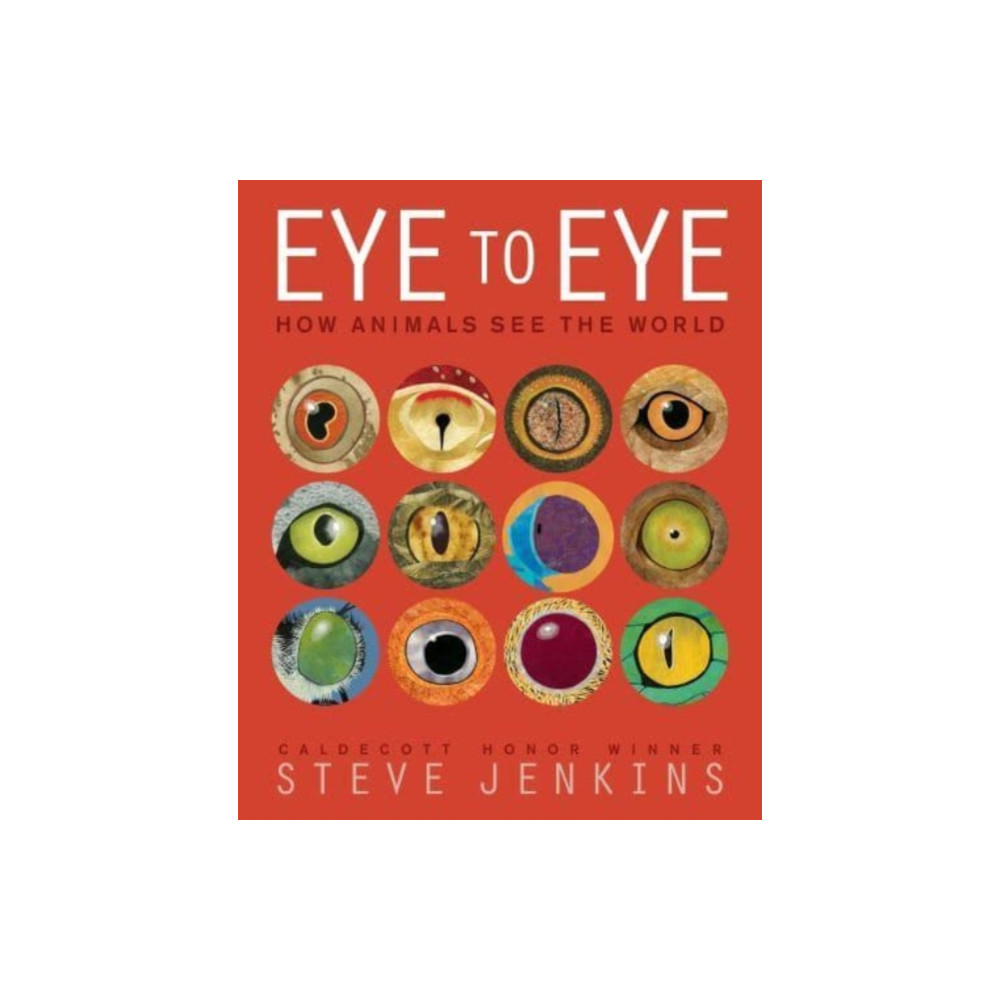 Produktbild för Eye to Eye/How Animals See the World (häftad, eng)