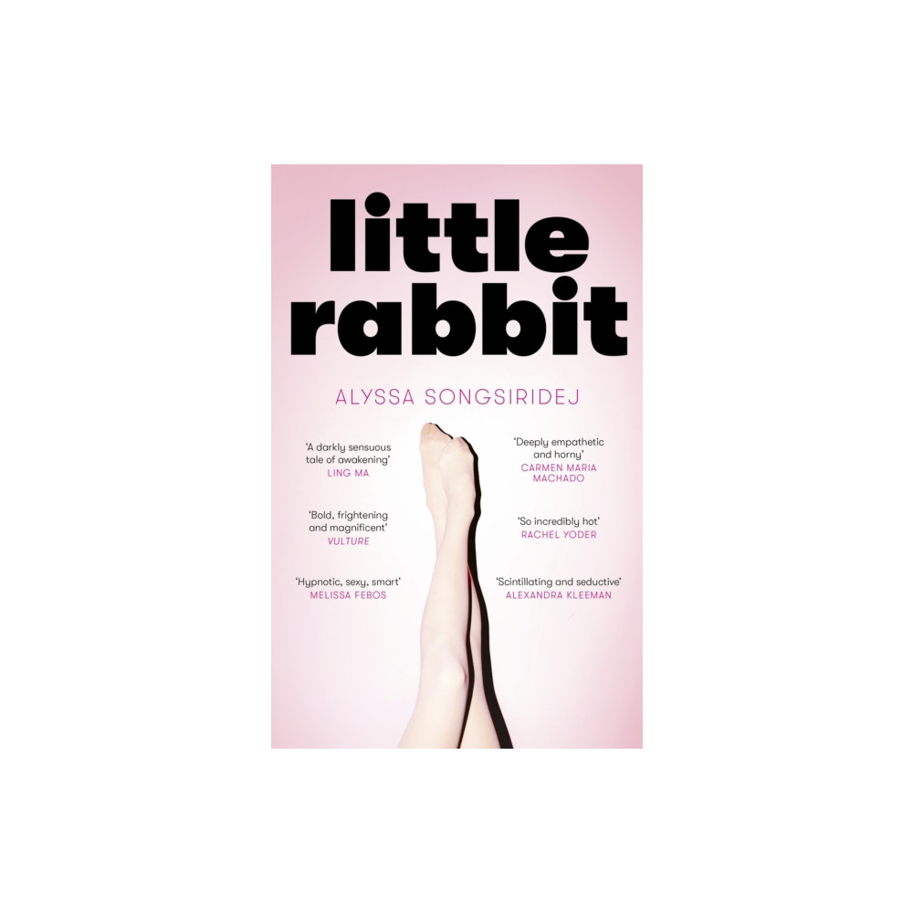 Produktbild för Little Rabbit (häftad, eng)