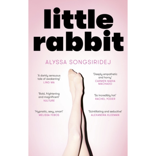 Little, Brown Book Group Little Rabbit (häftad, eng)