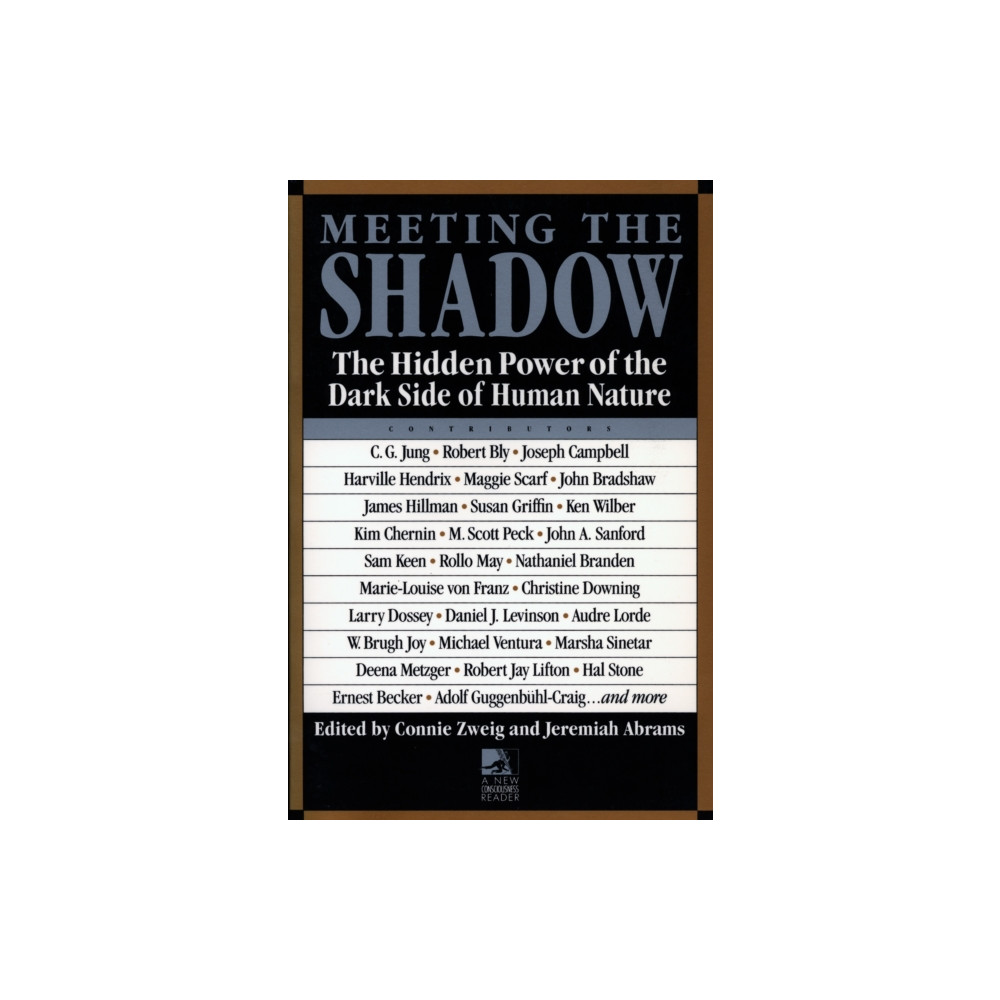 Produktbild för Meeting the Shadow (häftad, eng)