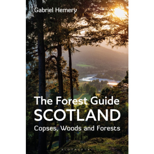 Bloomsbury Publishing PLC The Forest Guide: Scotland (häftad, eng)