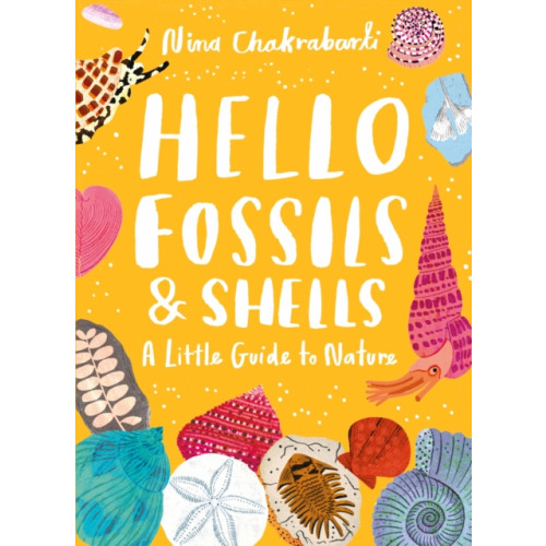 Hachette Children's Group Little Guides to Nature: Hello Fossils and Shells (inbunden, eng)