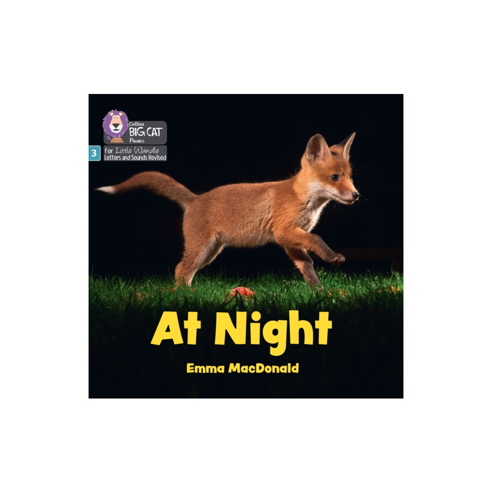 Produktbild för At Night (häftad, eng)