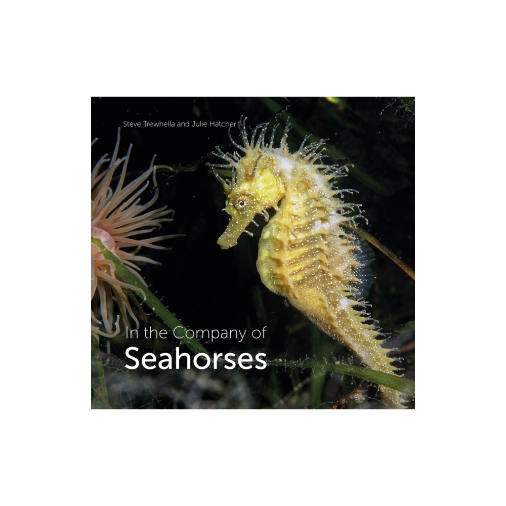 Produktbild för In the Company of Seahorses (inbunden, eng)