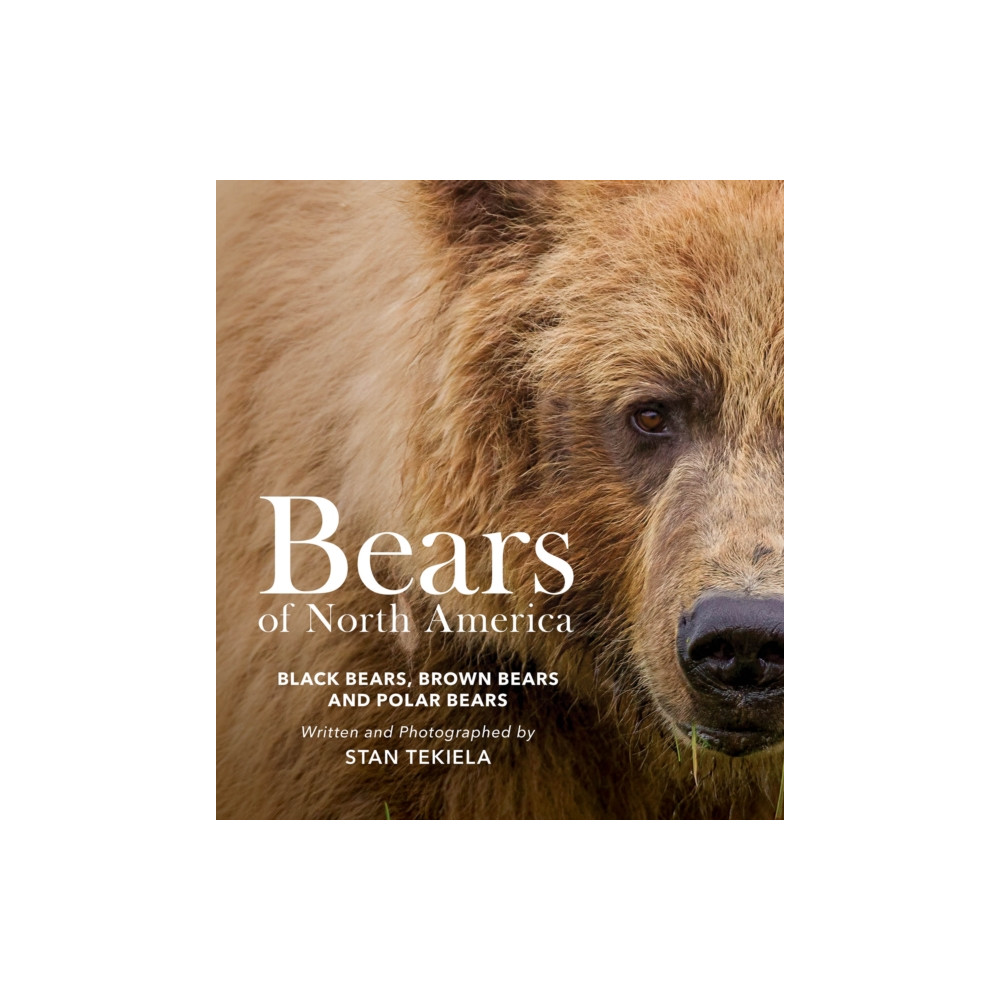 Produktbild för Bears of North America (häftad, eng)
