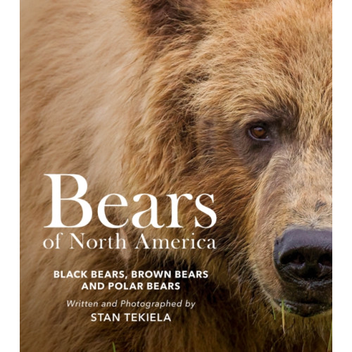 Adventure Publications, Incorporated Bears of North America (häftad, eng)