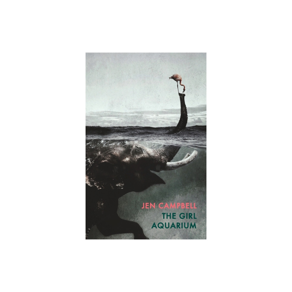 Produktbild för The Girl Aquarium (häftad, eng)