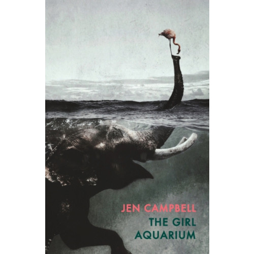 Bloodaxe Books Ltd The Girl Aquarium (häftad, eng)