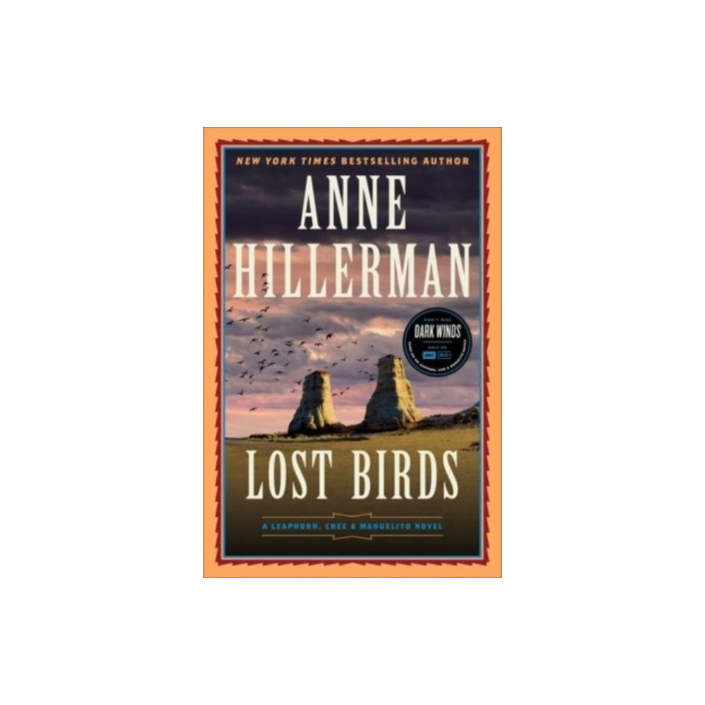 Produktbild för Lost Birds (inbunden, eng)