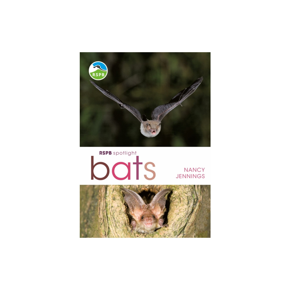 Produktbild för RSPB Spotlight Bats (häftad, eng)