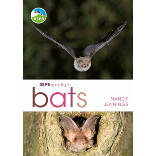 Bloomsbury Publishing PLC RSPB Spotlight Bats (häftad, eng)