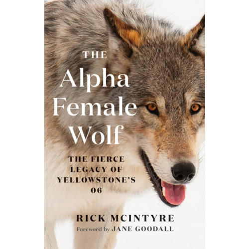 Greystone Books,Canada The Alpha Female Wolf (häftad, eng)