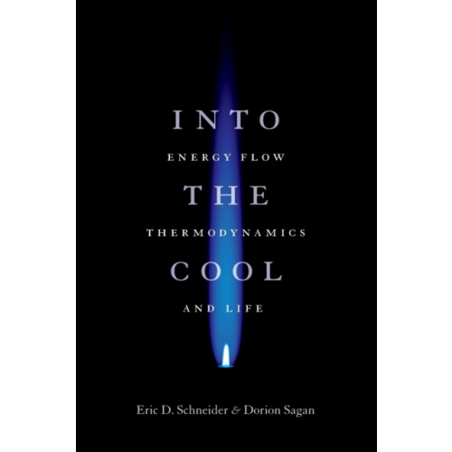 The university of chicago press Into the Cool (häftad, eng)