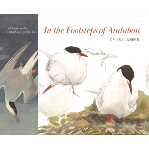 Princeton University Press In the Footsteps of Audubon (inbunden, eng)