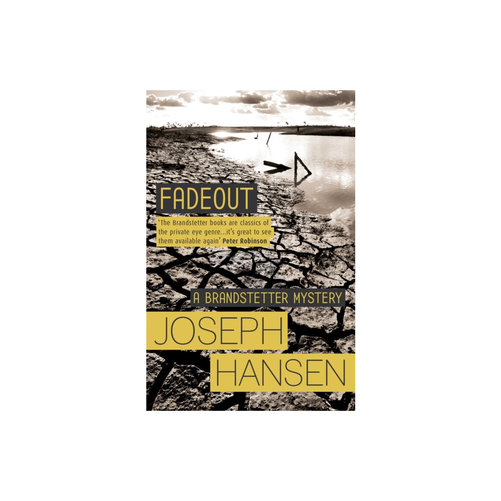 Produktbild för Fadeout (häftad, eng)