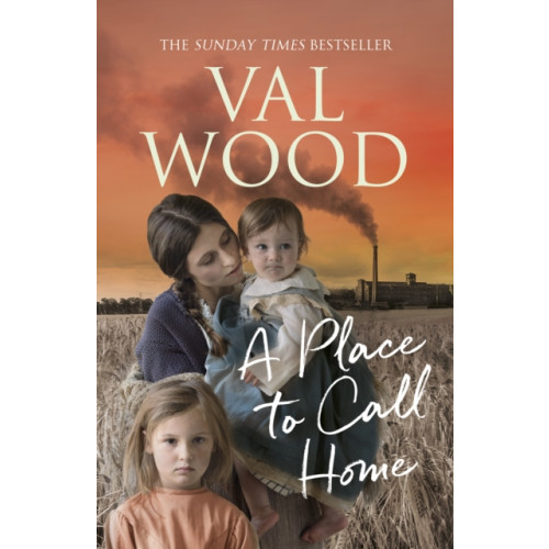 Transworld publishers ltd A Place to Call Home (häftad, eng)
