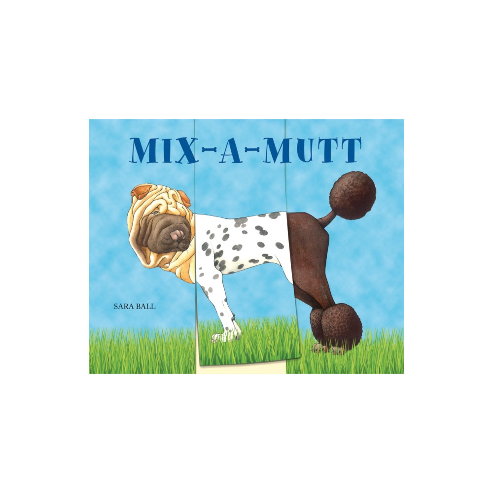Produktbild för Mix-a-Mutt (bok, board book, eng)